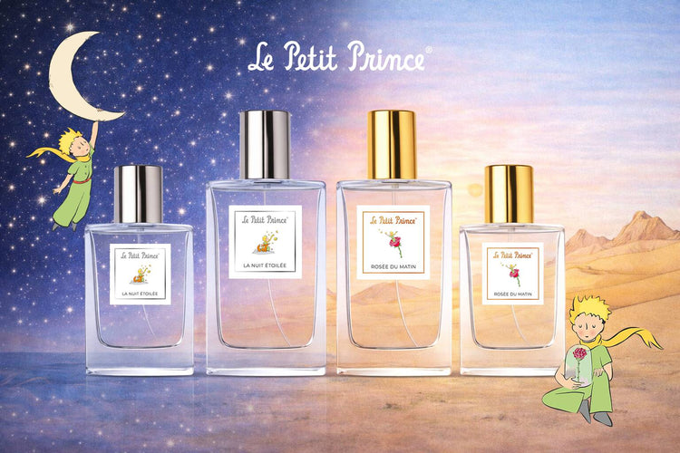 LE PETIT PRINCE